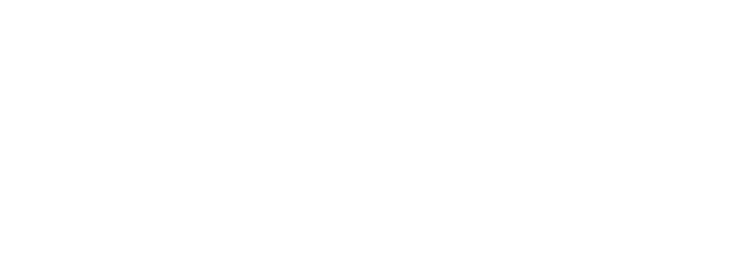 NeuroAcademia